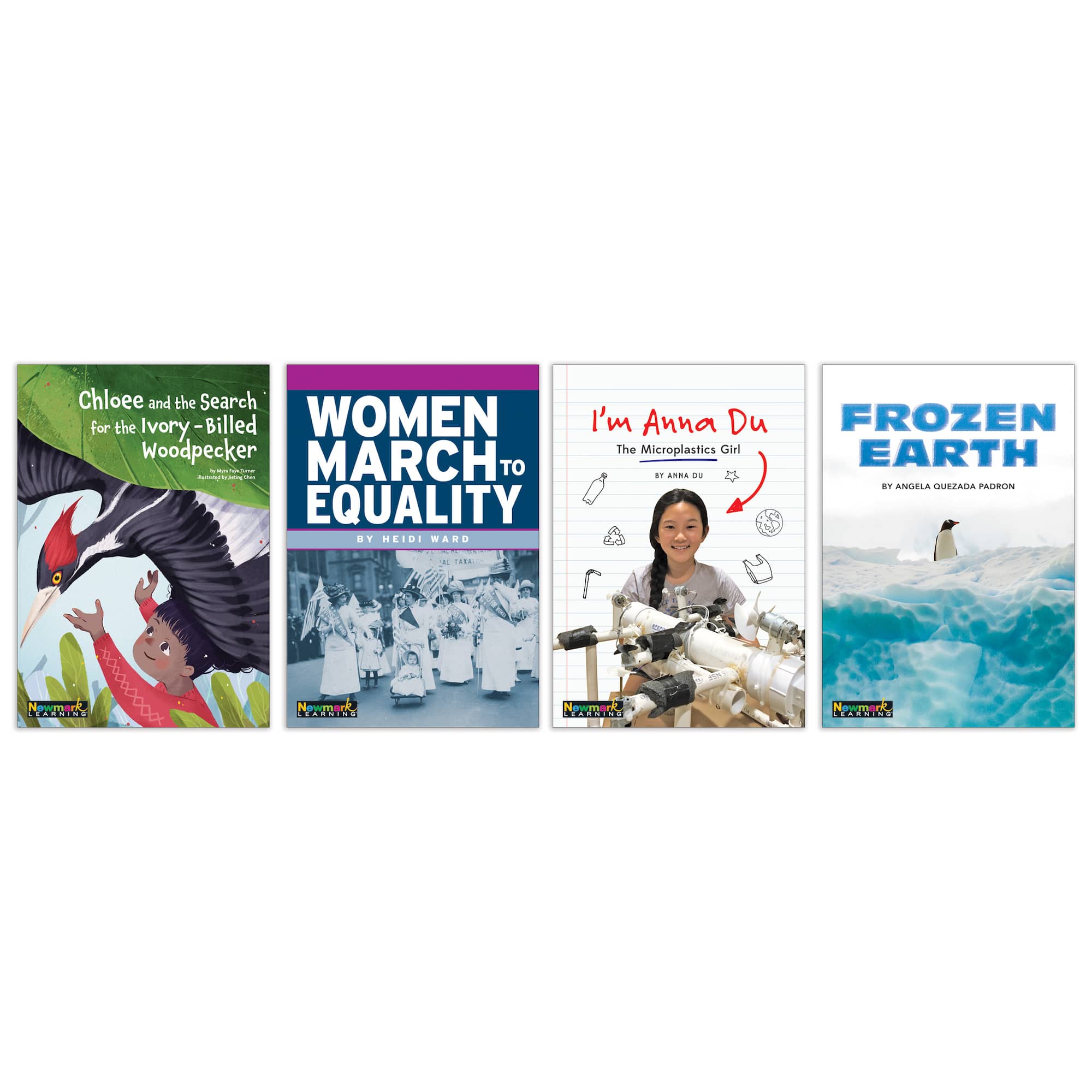 Newmark Learning Clear Windows Book Set of 12, Grade 2